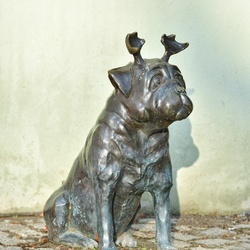 2026-01-08 Brandenburg an der Havel/Waldmöpse/DSC_2286.JPG